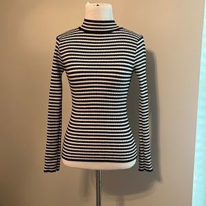 Fitted Striped Black and White Turtleneck ling sleeve Top